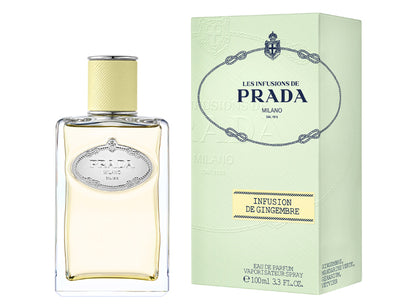 Infusion de Gingembre 100ml