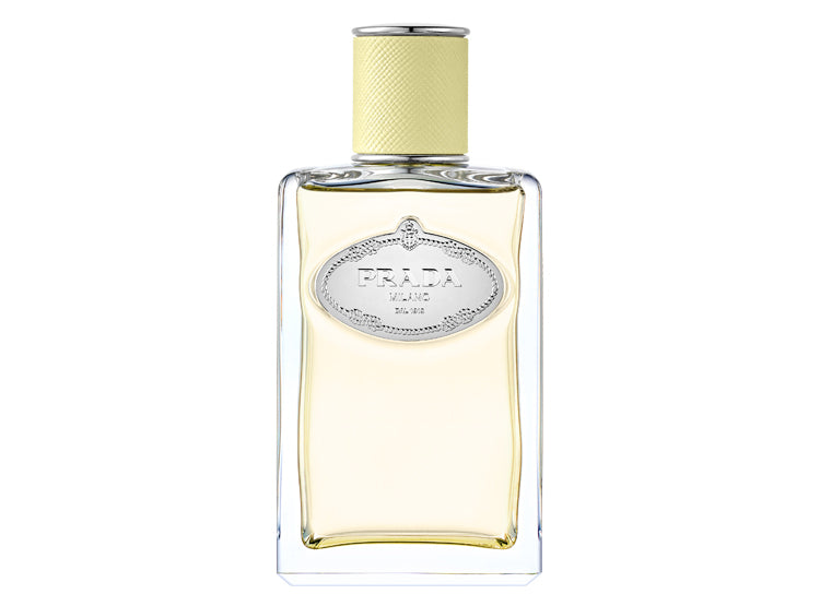Infusion de Gingembre 100ml