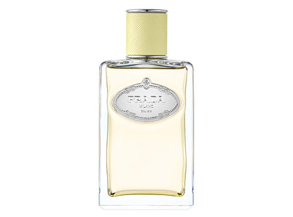Infusion de Gingembre 100ml