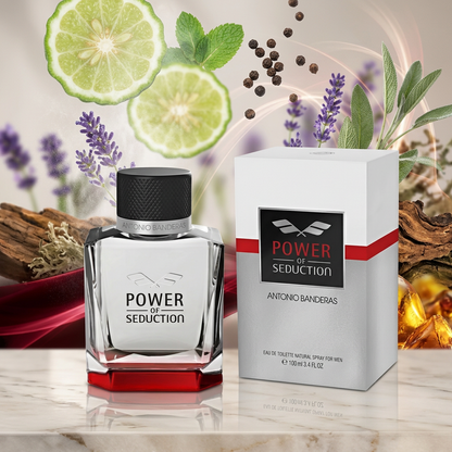 Power of Seduction Eau de Toilette