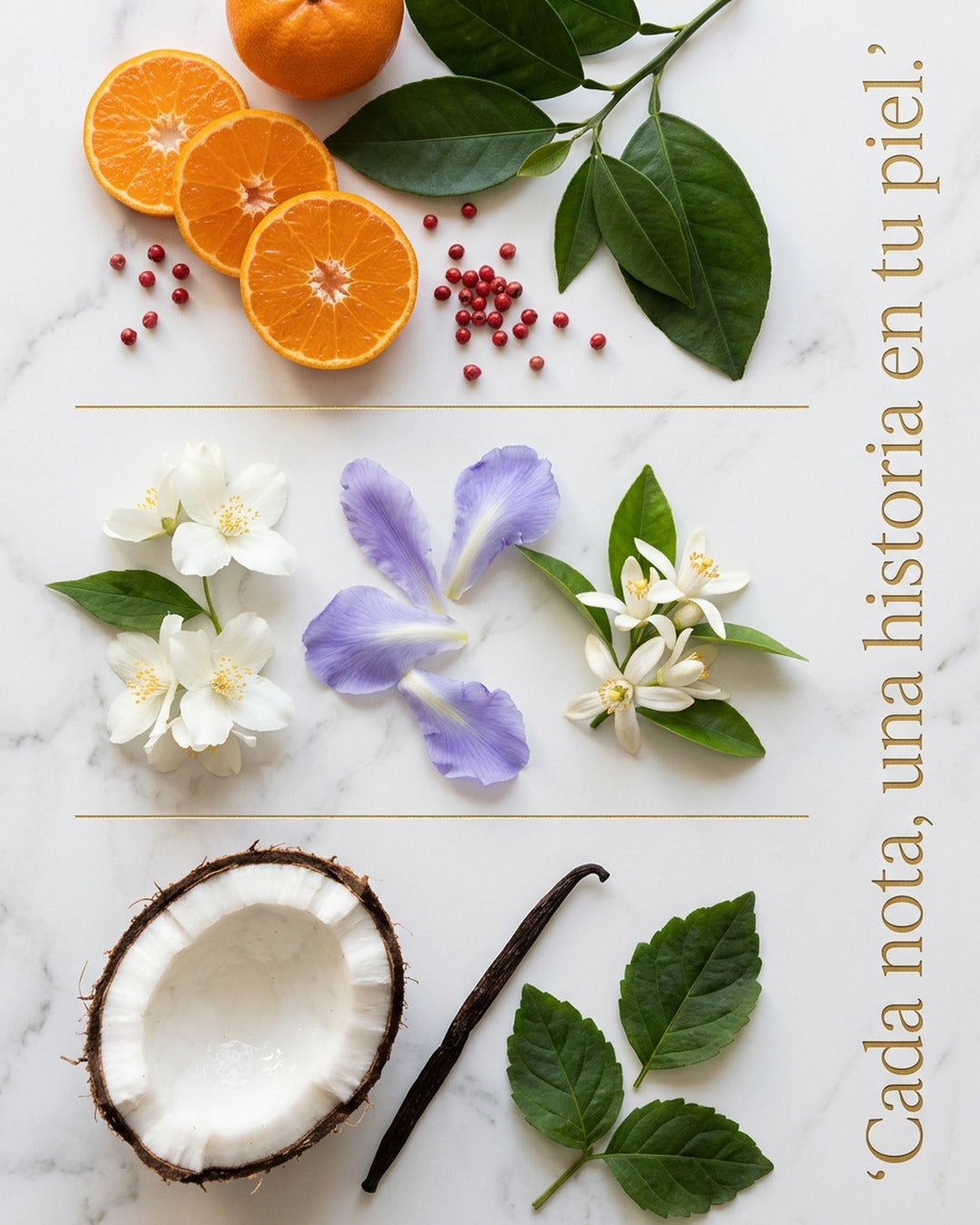 Lancôme La Vie Est Belle Soleil Cristal Eau de Parfum